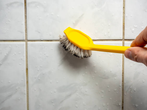 Best Residential Mold Remediation in Pandora, OH